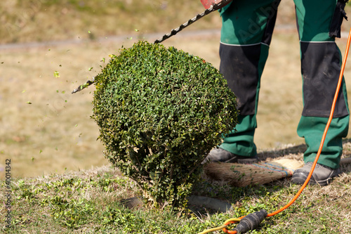 Gartenarbeit photo