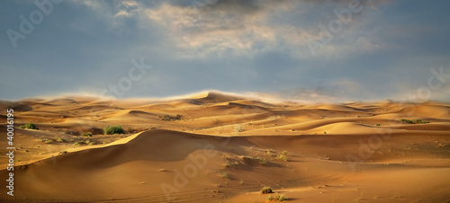Desert landscape