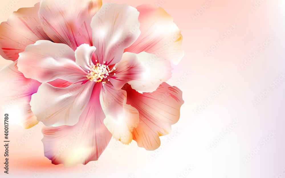 Invitation card with flower Invitation card with flower