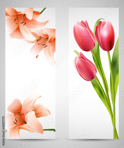 Fototapeta Naklejka Na Ścianę i Meble -  Background with red tulips and orange lilies