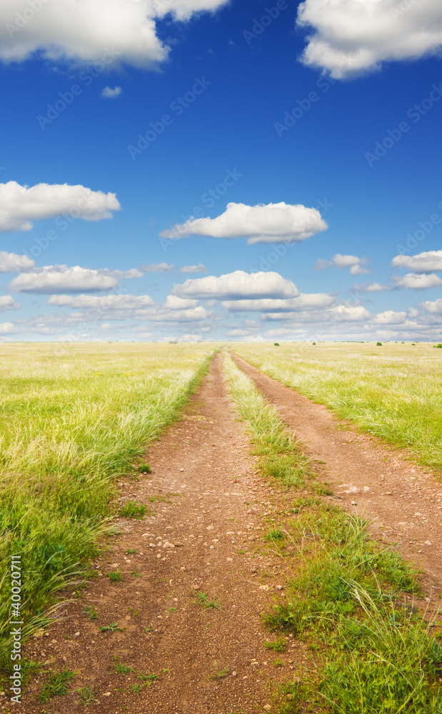 Road on green summer meadow.