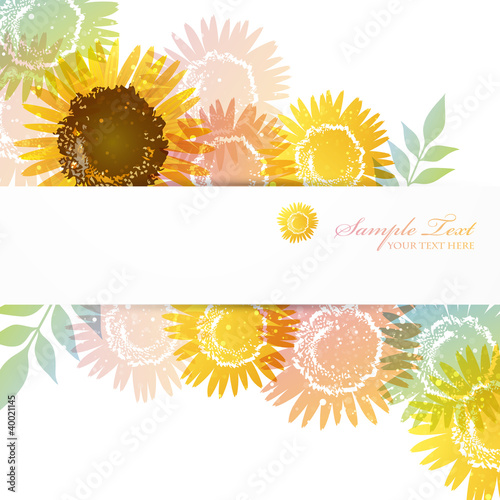 sunflower background