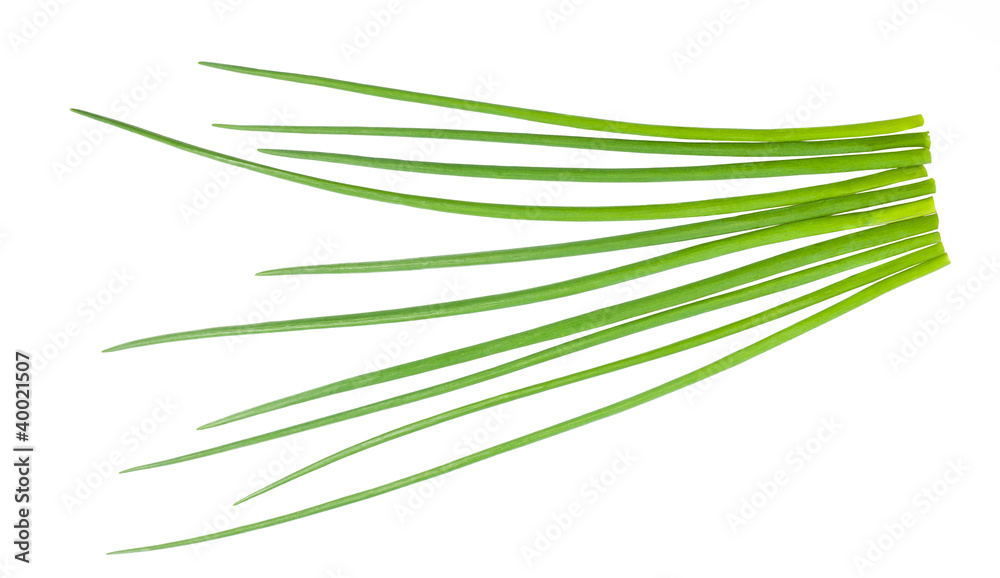 Chives bunch Chives bunch