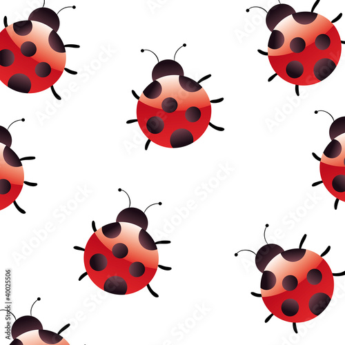 Coccinelle