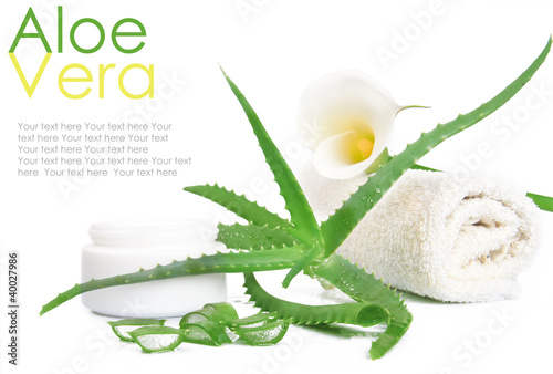 Aloe vera isolated on white