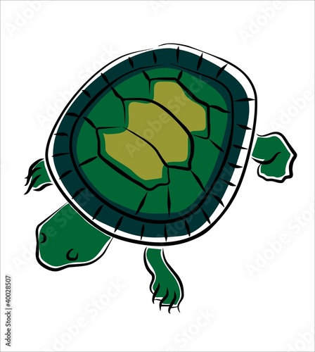 tortuga