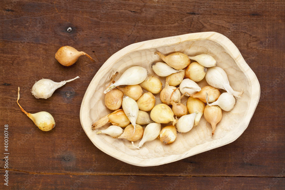 onion bulbs for planting
