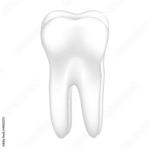 tooth vector illustration