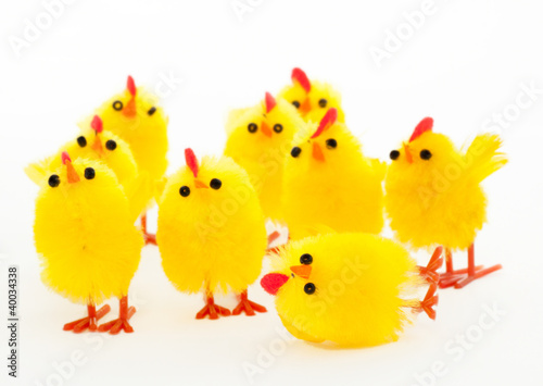 group of easter chickens and the fallen leader