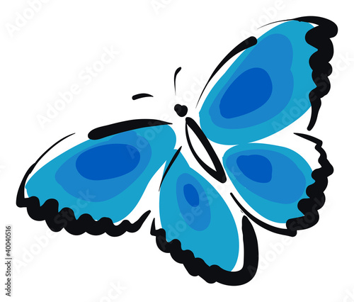 Butterfly