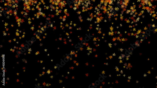 autum leaves falling