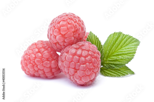 raspberries on white background