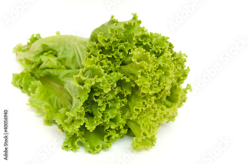 Lettuce isolated in white background