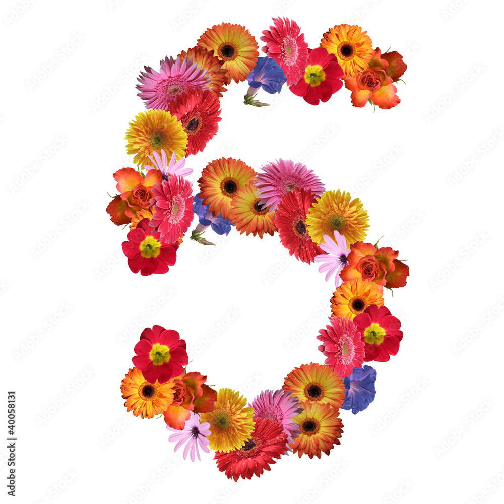 High resolution conceptual flower font isolated High resolution conceptual flower font isolated