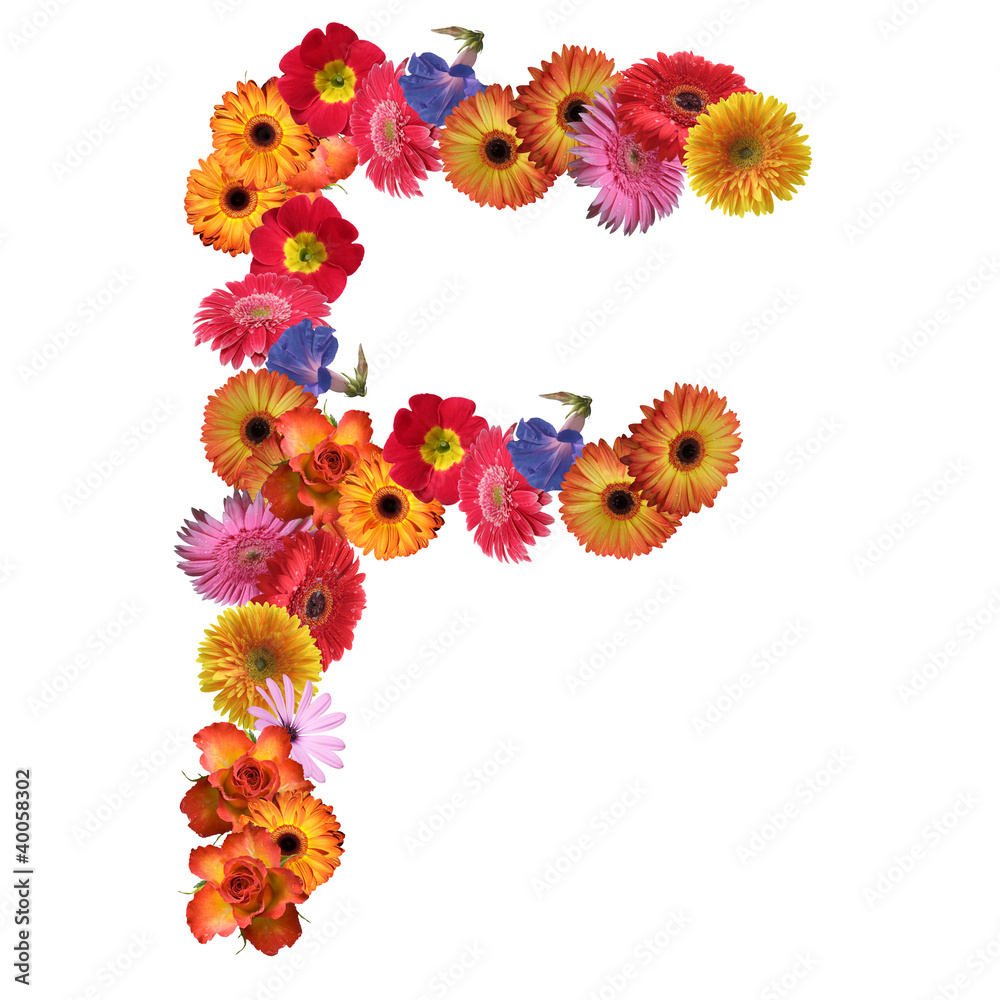 High resolution conceptual flower font isolated High resolution conceptual flower font isolated