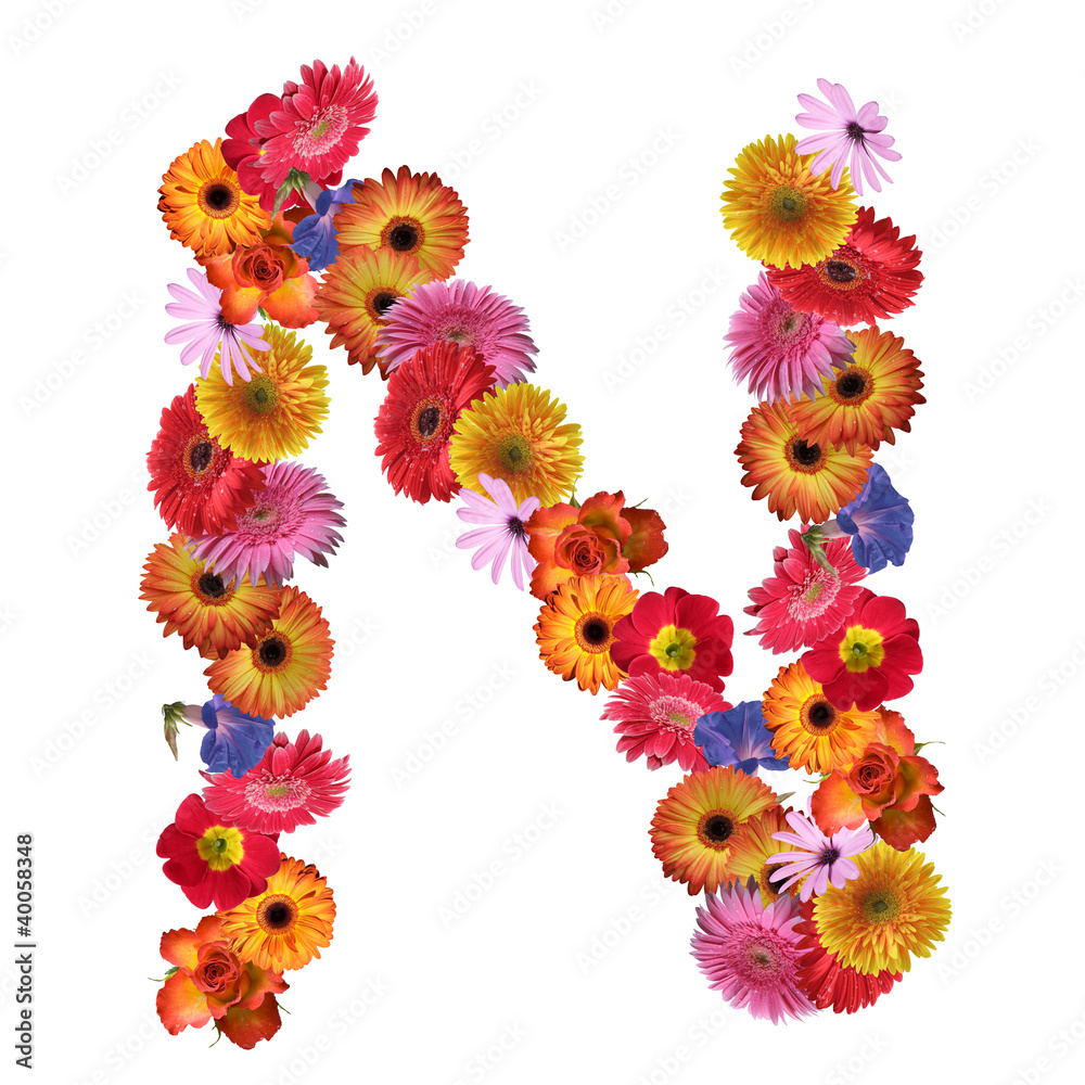 High resolution conceptual flower font isolated High resolution conceptual flower font isolated