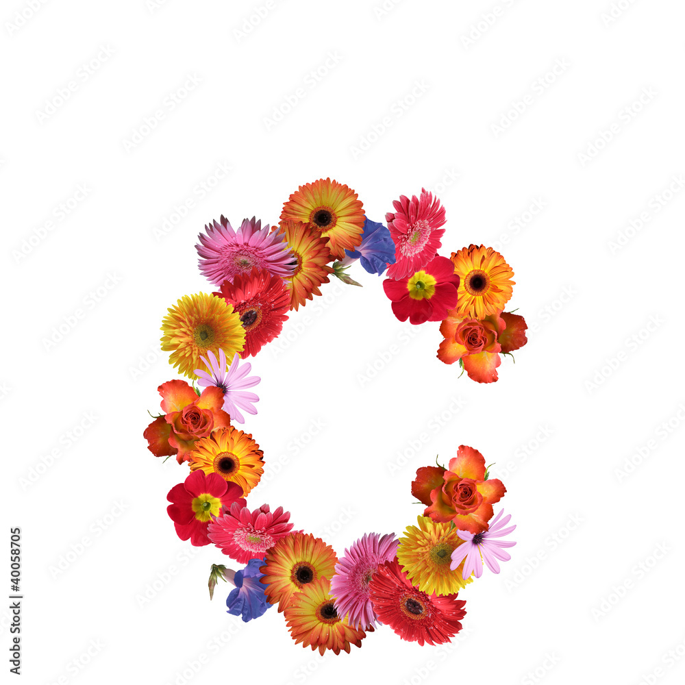 High resolution conceptual flower font isolated High resolution conceptual flower font isolated