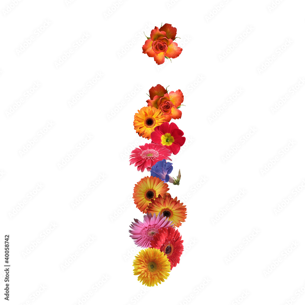 High resolution conceptual flower font isolated High resolution conceptual flower font isolated
