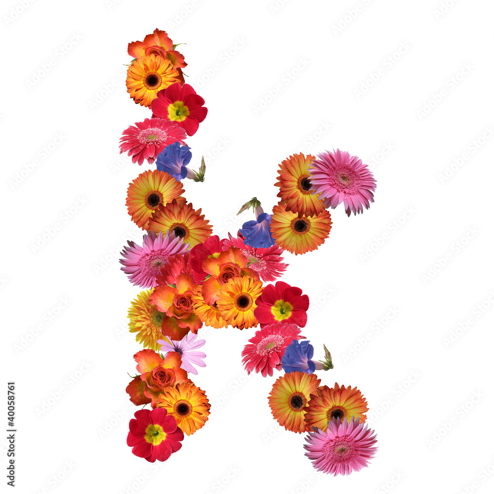 High resolution conceptual flower font isolated