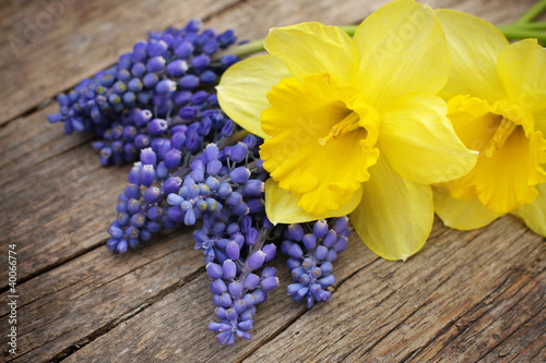 Spring bouguet of muscari and daffodil flowers photo