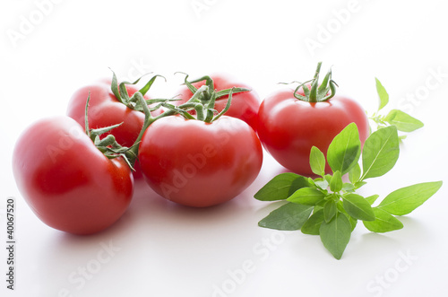 Tomates grappes basilic