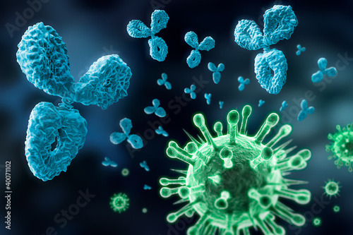 Antikörper und Viren photo