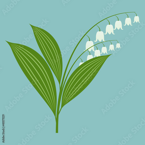 Lily of the valley