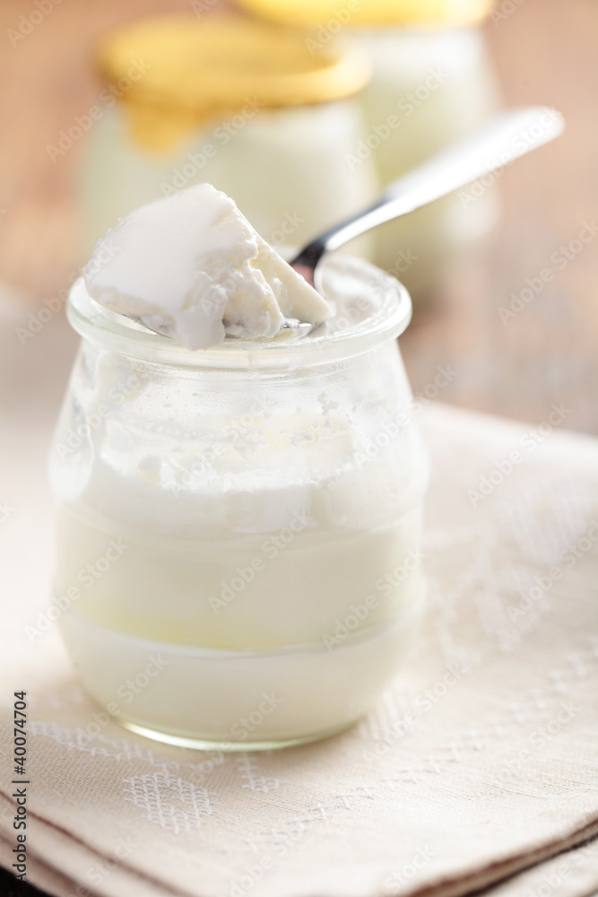 Yogurt Yogurt
