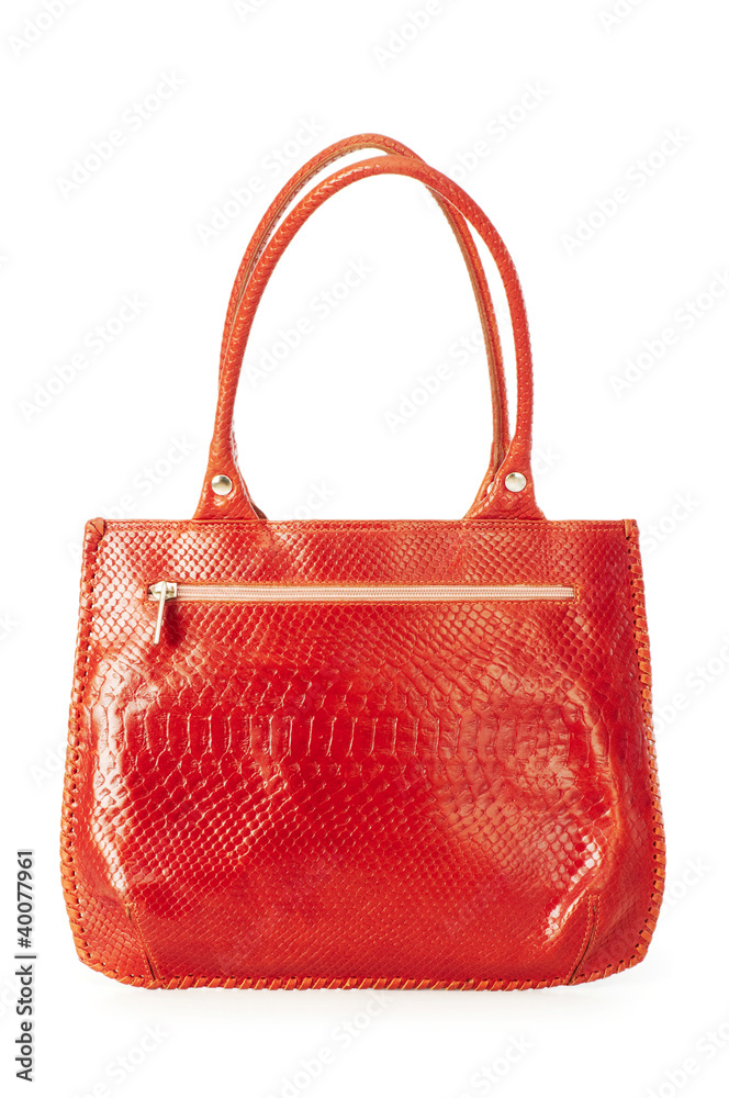 Elegant woman bag on white Elegant woman bag on white