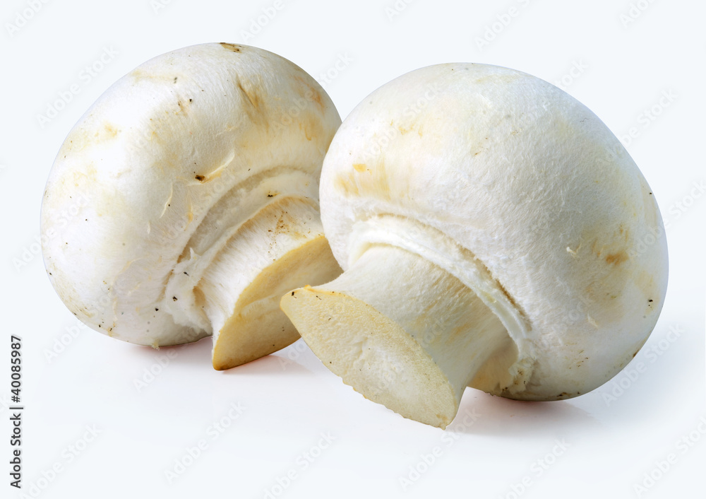 Fototapeta premium white mushrooms