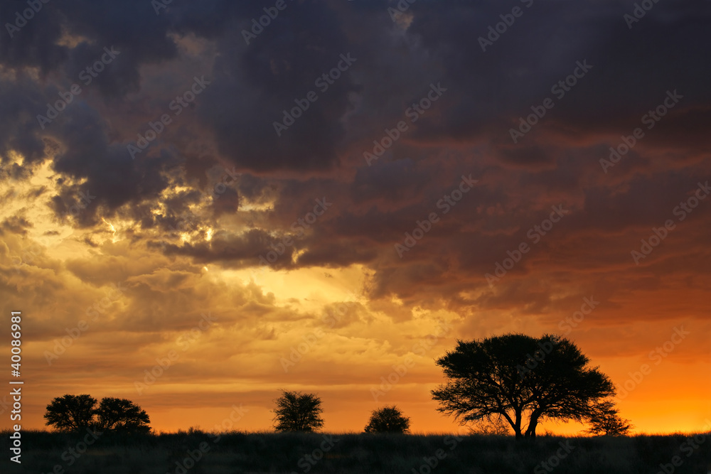 African sunset with silhouetted trees