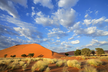 Crédence de cuisine Afrique Dunes de Sossusvlei en Namibie  © EcoView