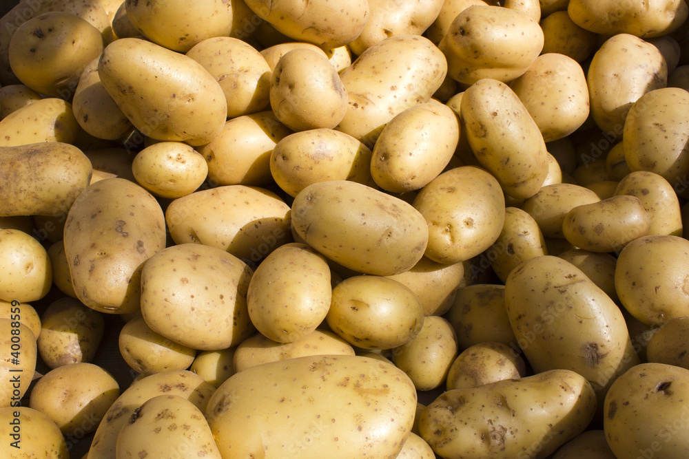 marché pommes de terre market potatoes paris 2 marché pommes de terre market potatoes paris 2