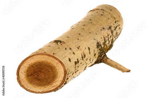 One large log