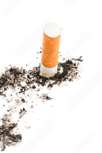 cigarette butt on white