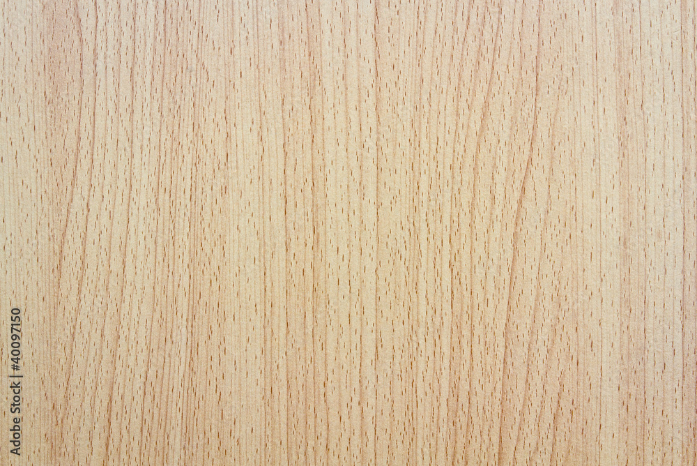 Pattern of the wood Pattern of the wood
