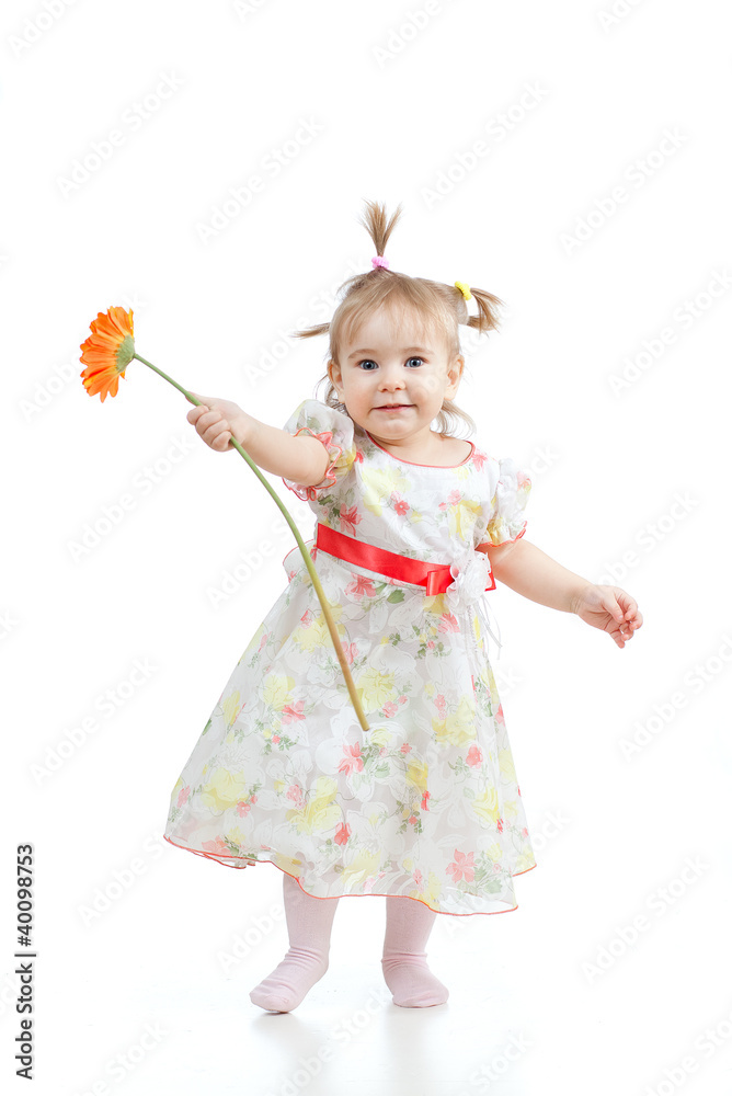 cute little girl with flower gift, isolated on white cute little girl with flower gift, isolated on white