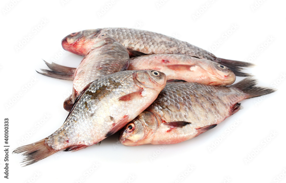 Fresh fishes isolated on white