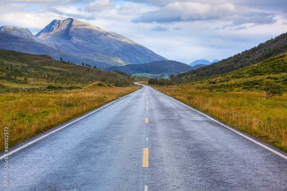 Naklejka premium Road perspective