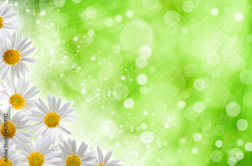 Abstract spring backgrounds with daisy flowers and blured bokeh