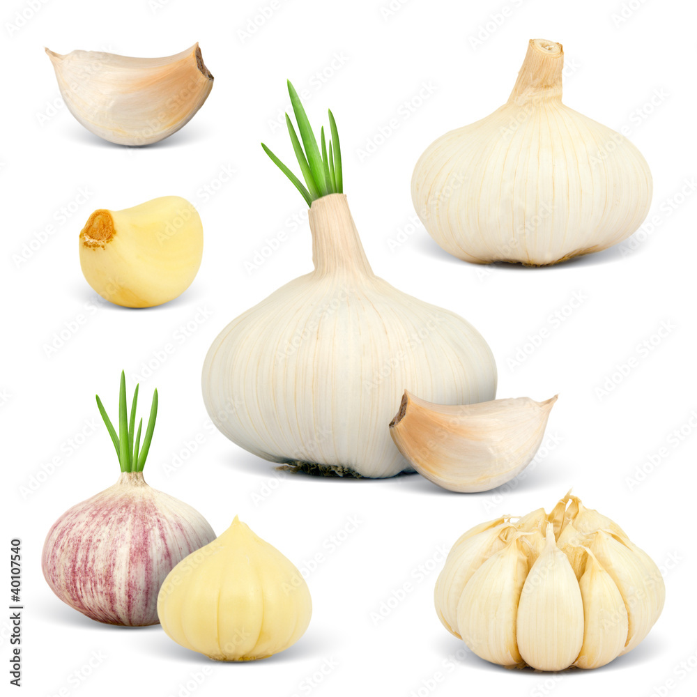 Collection of garlic isolated on white Collection of garlic isolated on white