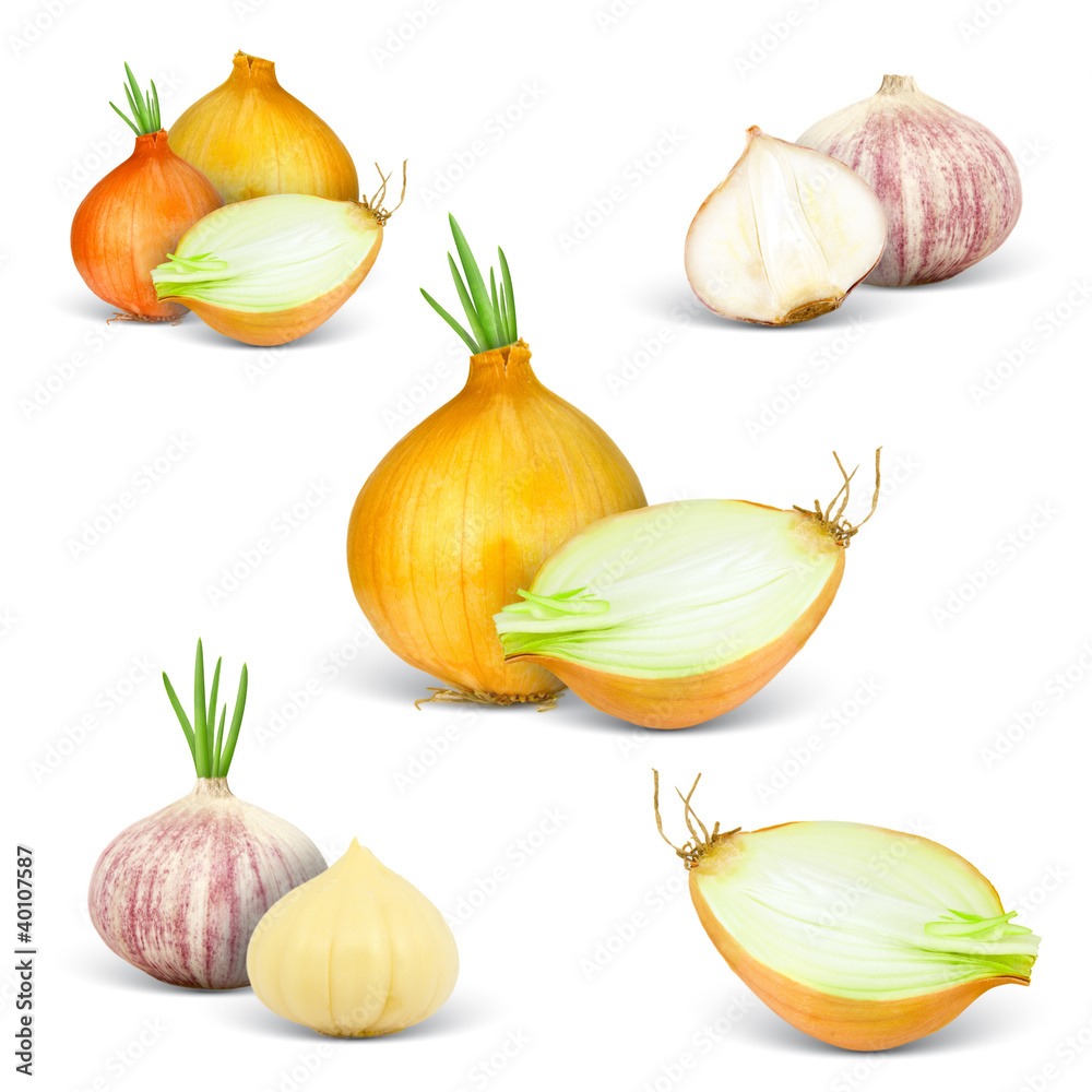 Collection of onion isolated on white Collection of onion isolated on white