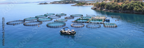 Fish farm Panorama photo