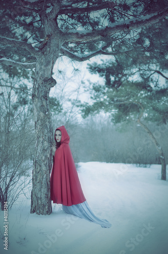 Red Riding Hood in the winter forest