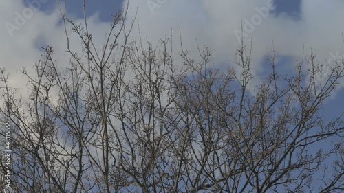 Wolken und Himmel