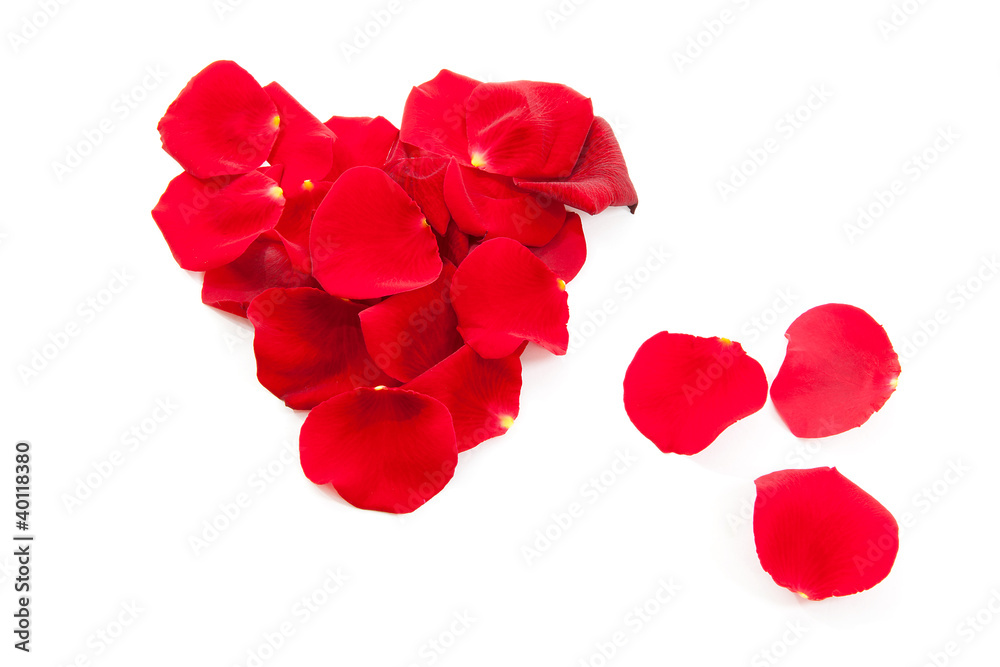 red rose petals in shape of heart red rose petals in shape of heart