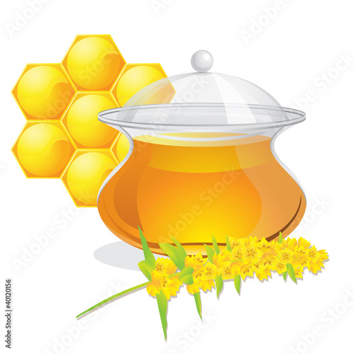 Full pot of honey and flowers
