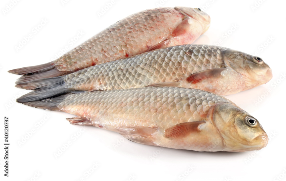 three fresh fish isolated on white background three fresh fish isolated on white background