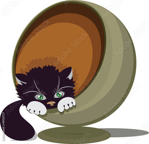 Black and white cat in a round recliner, vector illustration