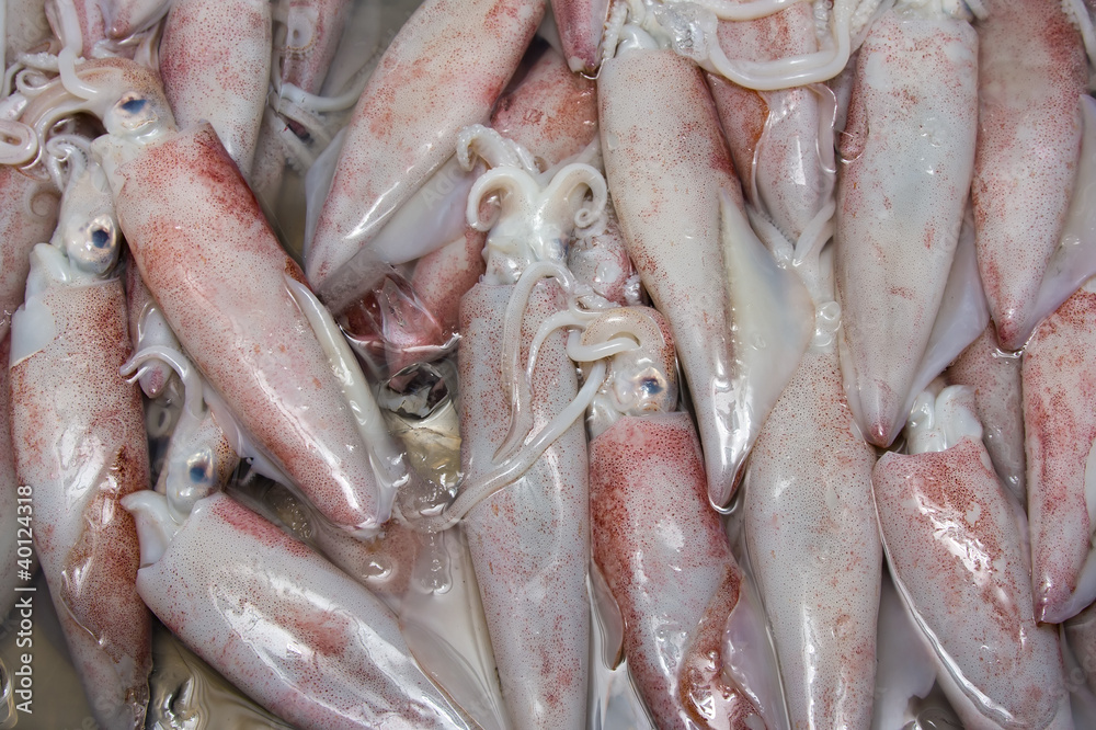 Fresh squid on the market in Thailand